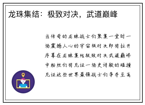 龙珠集结：极致对决，武道巅峰