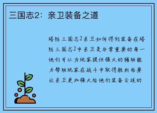 三国志2：亲卫装备之道