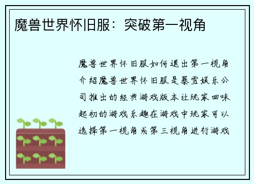 魔兽世界怀旧服：突破第一视角